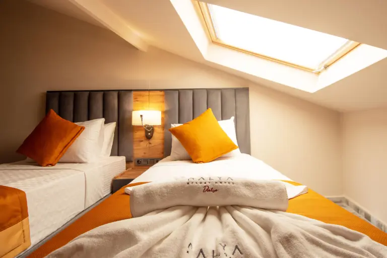 Standart Çatı Katı Oda