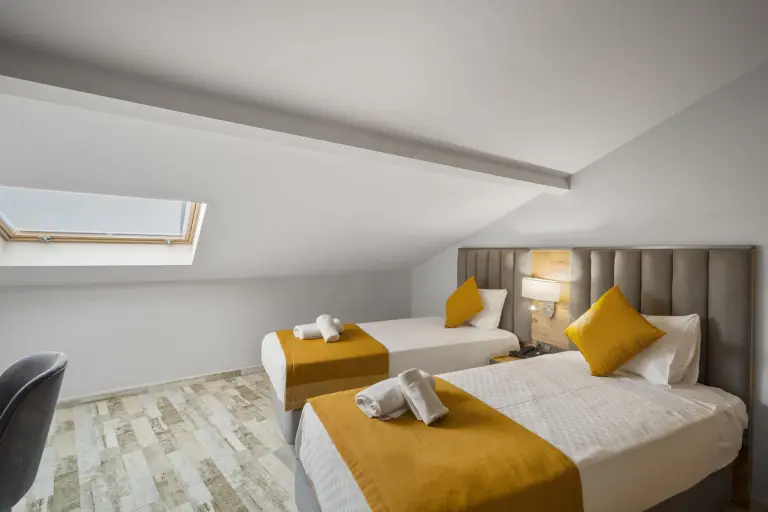 Standart Çatı Katı Oda